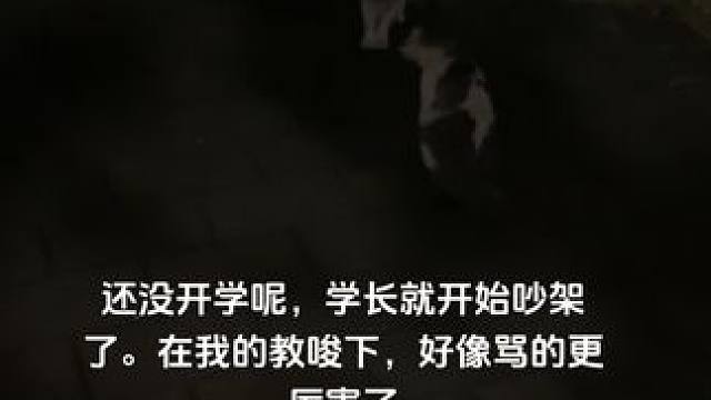 #温柔的流浪小猫咪