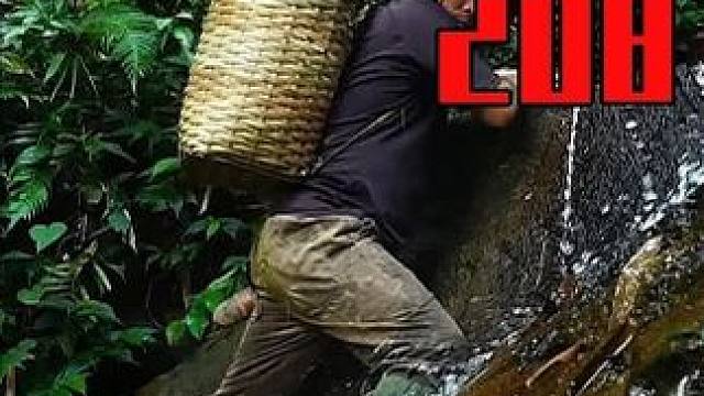 在热带雨林中独自生存挑战 EP.208-诱野鸡编竹篮、赏熏鱼