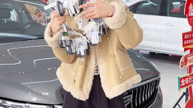 #2024吉利春季购车节