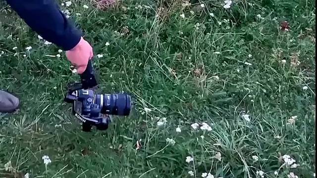 这壁纸不就来了吗[大笑]