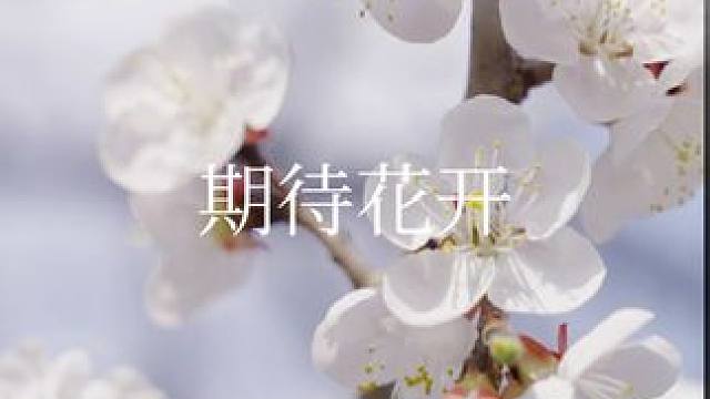 一不小心就看到了春暖花开#春暖花开奔你而来 #风景如画的地方 #旅行推荐官 #本溪水洞 #大自然的鬼