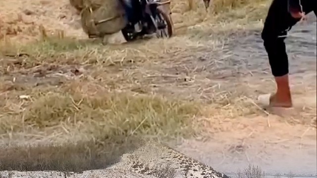 这才叫四仰八叉[捂脸]