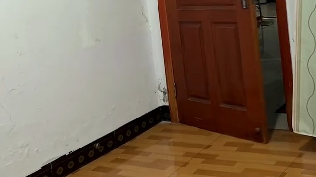 这两口子太亲了哈哈