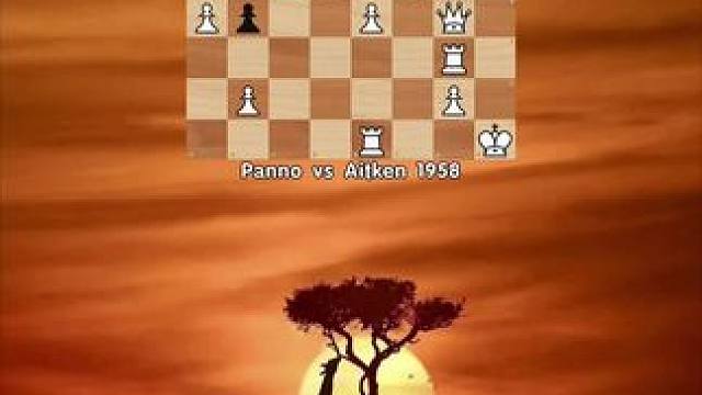 今天3月3日是世界野生动植物日！！小时候，我们通过小小的电视机认识了奇妙多样的世界，看那些遥不可及的