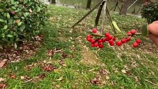 在街上这样拍肯定会被别人认为神经病#技术流自带bgm