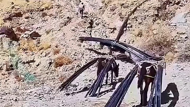 马儿是偏远山区的主要运输工具，它们驮着远远超出自身体重的货物，艰难