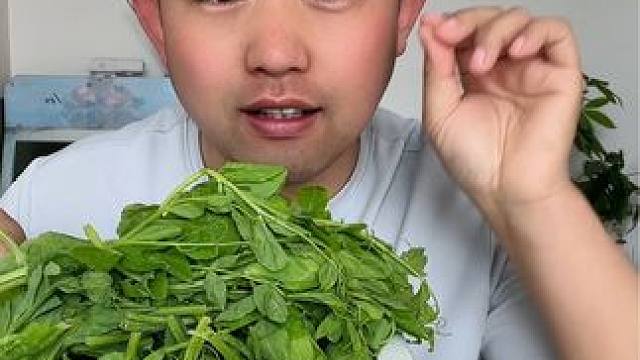 #实拍视频 #豌豆尖 #测评