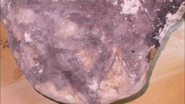 我发布了一个新视频，快来围观吧！