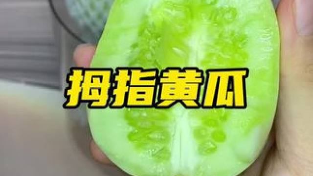 一个才十几大卡的拇指黄瓜，比普通黄瓜更水灵#脆甜多汁 #谁懂这一口的好吃程度 #拇指黄瓜 #我爱吃水