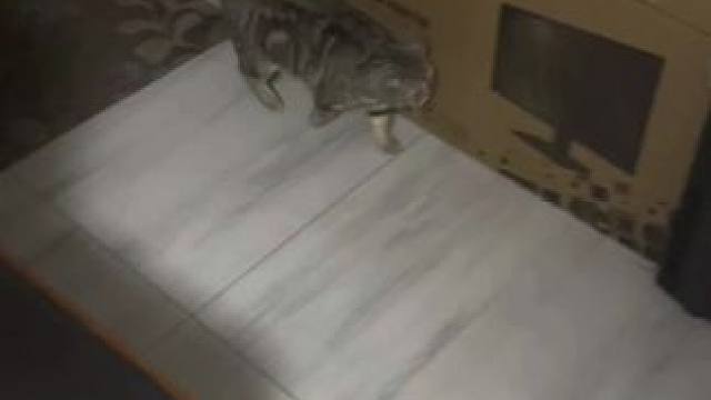 我发布了一个新视频，快来围观吧！