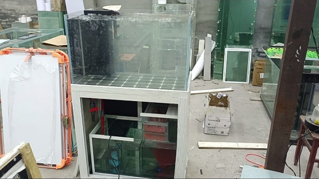 首次来虎牙，还请大家多多海涵