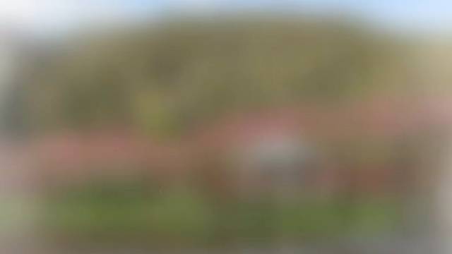 骗你的人别信，爱你的人别伤