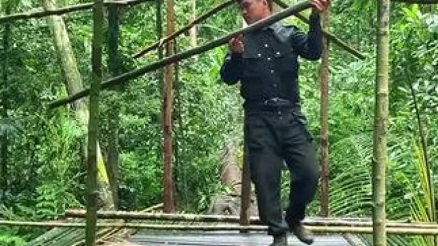 搭建树上庇护所 #荒野建造 #野外建造 #庇护所