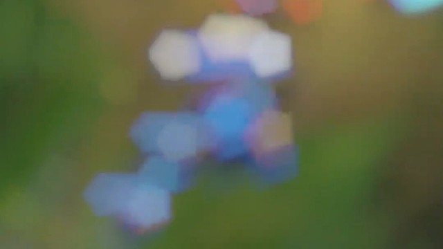 猎人总是以猎物的形式出现