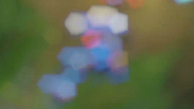 猎人总是以猎物的形式出现