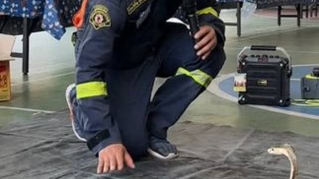 泰国消防员给公众演示如何应对眼镜#国外视频分享 #野生动物零距离 #