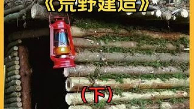 #荒野 #解压 这才是真正的视频减速带！！！#荒野建造 #视频减速带 #木屋搭建