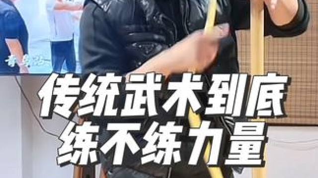 传统武术不是不用肌肉，而是功用不同，训练方式也大不相同#中华武术博大精深 #内家拳 #太极拳 #传统