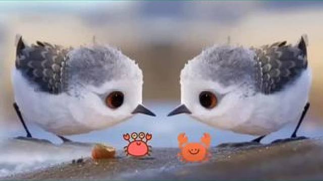 #益趣早教 #好好学习天天向上 #启蒙早教 #普及知识