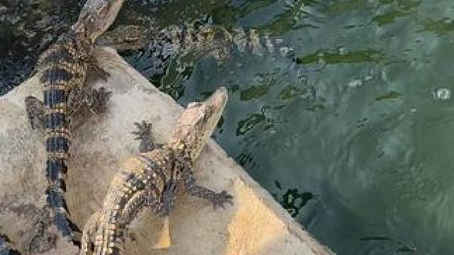 我发布了一个新视频，快来围观吧！