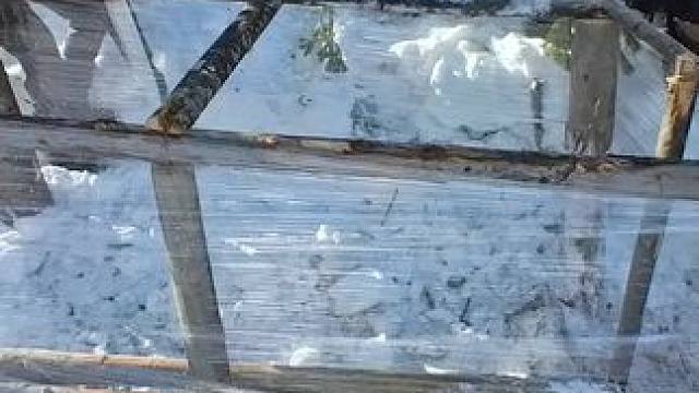 极北森林大雪皑皑，四周条件极其恶劣，用薄膜搭建出温暖小窝棚！ #野外生存 #户外探险 #雪地森林生存