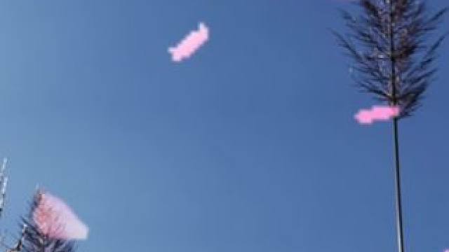 #透过水面看阳光好像梦境 #蓝天白云绿草地这风景太美了 #天很蓝太阳很暖故事很短