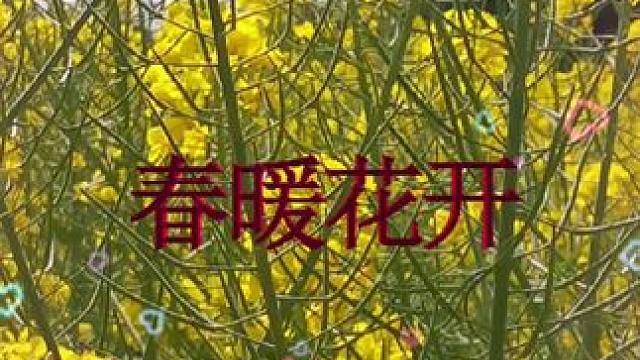 #蓝天白云绿草地这风景太美了 #透过水面看阳光好像梦境
