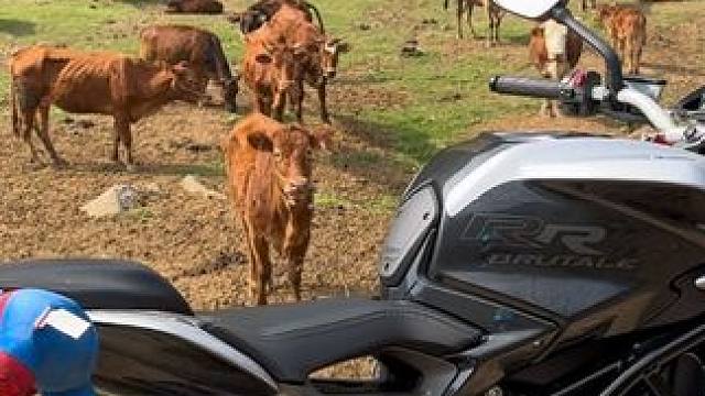 南宁禁摩严重，带意大利公子归隐山林#热爱机车热爱生活