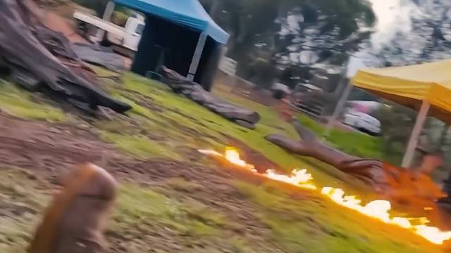 树有很多叶 而树叶只是树