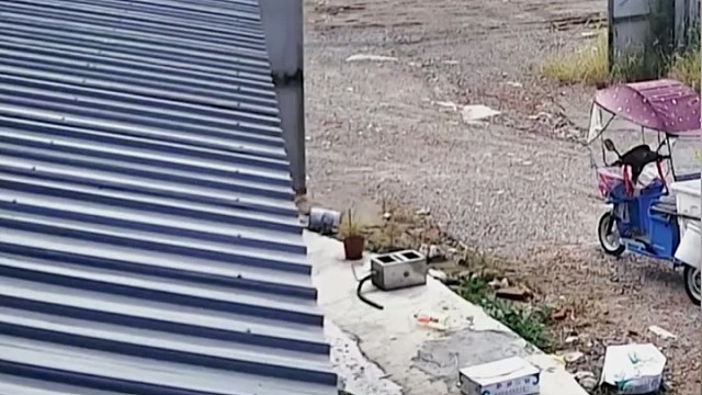 我实在是没有忍住！[龇牙]