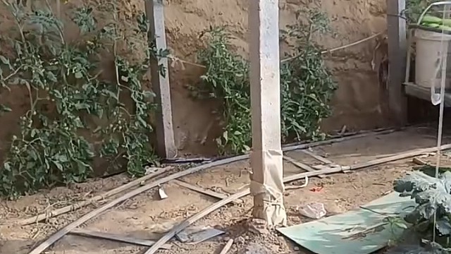 电瓶轨道车，大棚菜农的福音