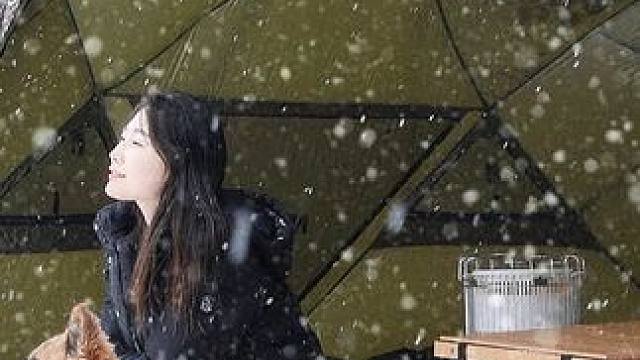 大雪天气带着狗子在雪地里搭建帐篷露营！#户外露营 #户外 #解压 #露营⛺ #户外用品