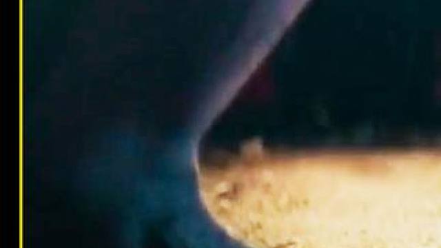 出了水就长出腿，进了水就变成鱼，你见过吗？这部美剧一定要追 #奇幻魔幻 #影视解说