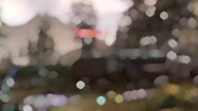 火立尊#星球重启 #星球重启好活当赏