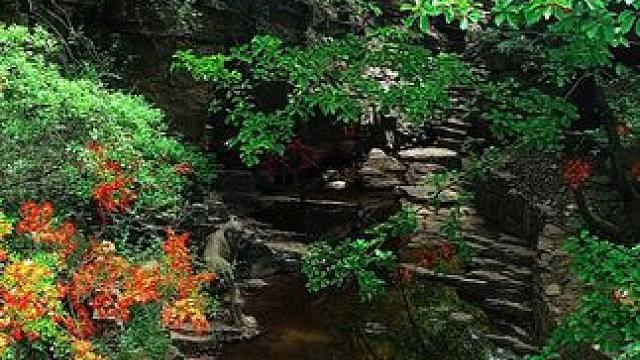 九峰山景区 #养在九峰山 山的后面是什么，你不用告诉我，我要自己去一趟，是什么我都会甘心#亲子游玩好