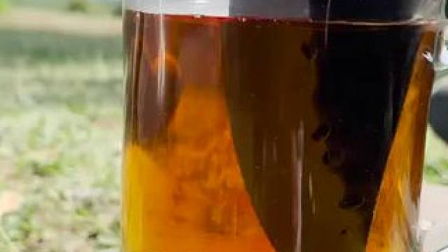 美味石板烤鱼#野外生存 #荒野求生 #野外生存 #野外垂钓