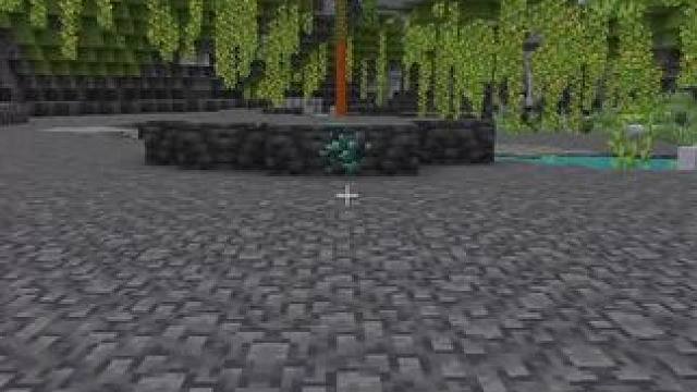 我发布了一个新视频，快来围观吧！