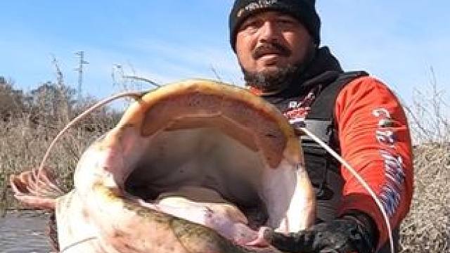 你钓过最大的鱼有多大？#国外视频分享 #好大一条鱼 #钓鱼人就是这么