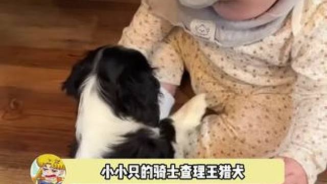 两个大眼宝宝！要一起长大一直当好朋友哇