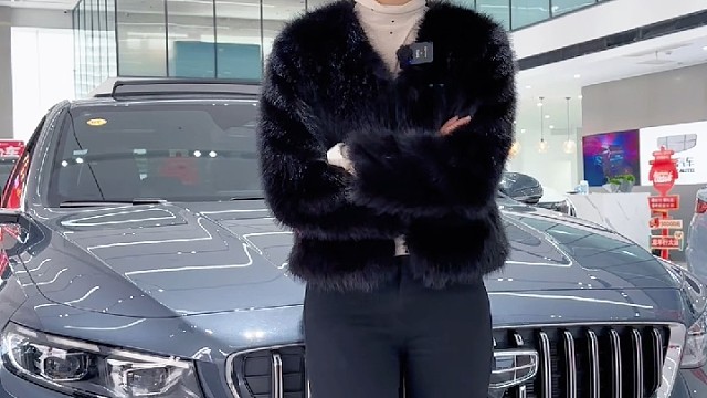 #2024吉利春季购车节