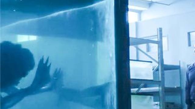 科学家研究神秘海洋生物，揭秘奇异现象（2/3）#海洋生物 #电影解说 #奇幻