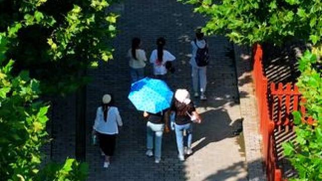 九峰山景区 #亲子游玩好去处 #好山好水好风景 #慢下来看世界 #周边游