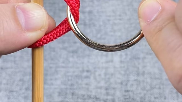 我感觉我的智商被侮辱了