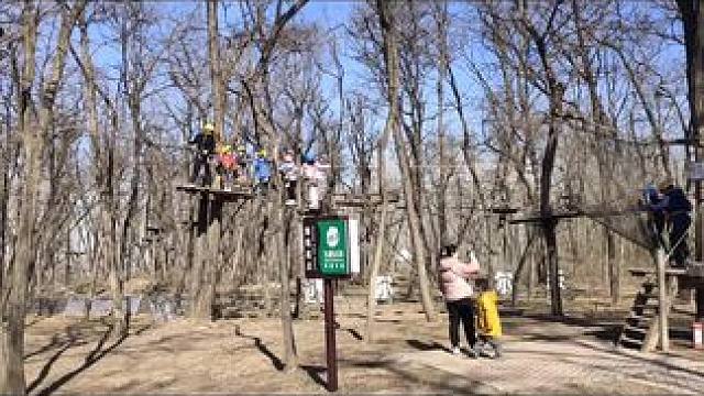 #亲子游玩好去处 #周末去哪玩 #团购 #丛林探险 #郑州飞越丛林探险乐园