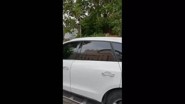 车顶上长哈基米啦