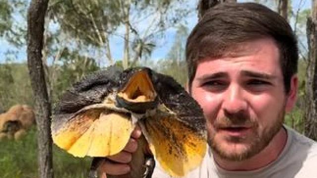 恐龙还活着#国外视频分享 #野生动物零距离 #奇妙的动物