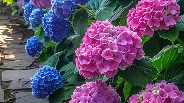 如何成为一个学习力爆表的女孩