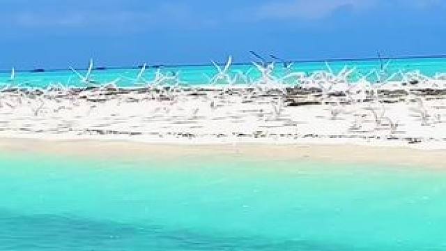 宿命是星辰与大海
三月八日，伟大的女性们，妇女节快乐。
愿你我身心都能摆脱桎梏，得到更广阔的自由️#