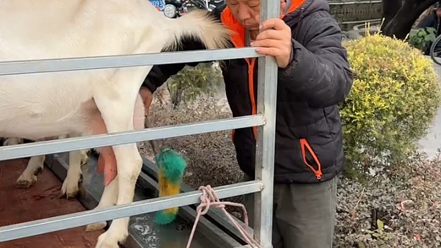 大哥很有才呀！