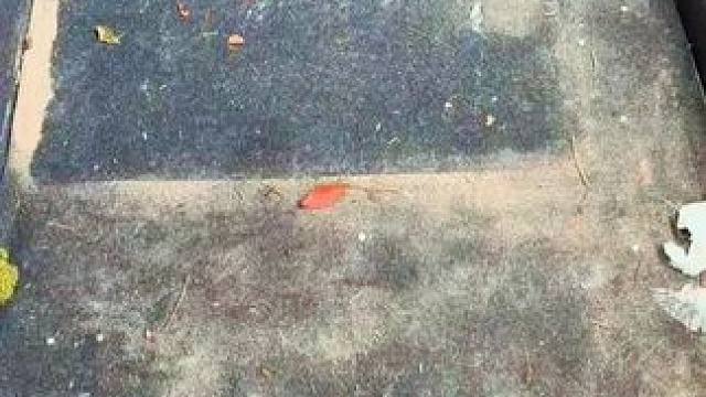 我发布了一个新视频，快来围观吧！